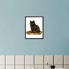 fb19b658-b711-472d-86fb-1c9f55ed46e5